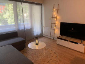 Super central - appartement 2,5pcs à Leukerbad Leukerbad